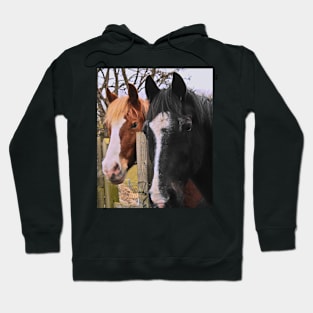 friendly pair of horses Hoodie